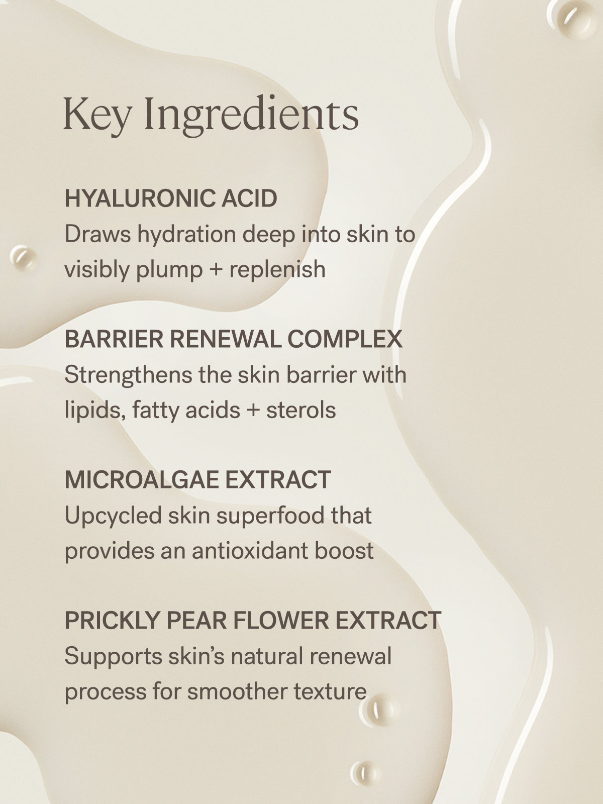 The Base Face Milk - Everyday Essential