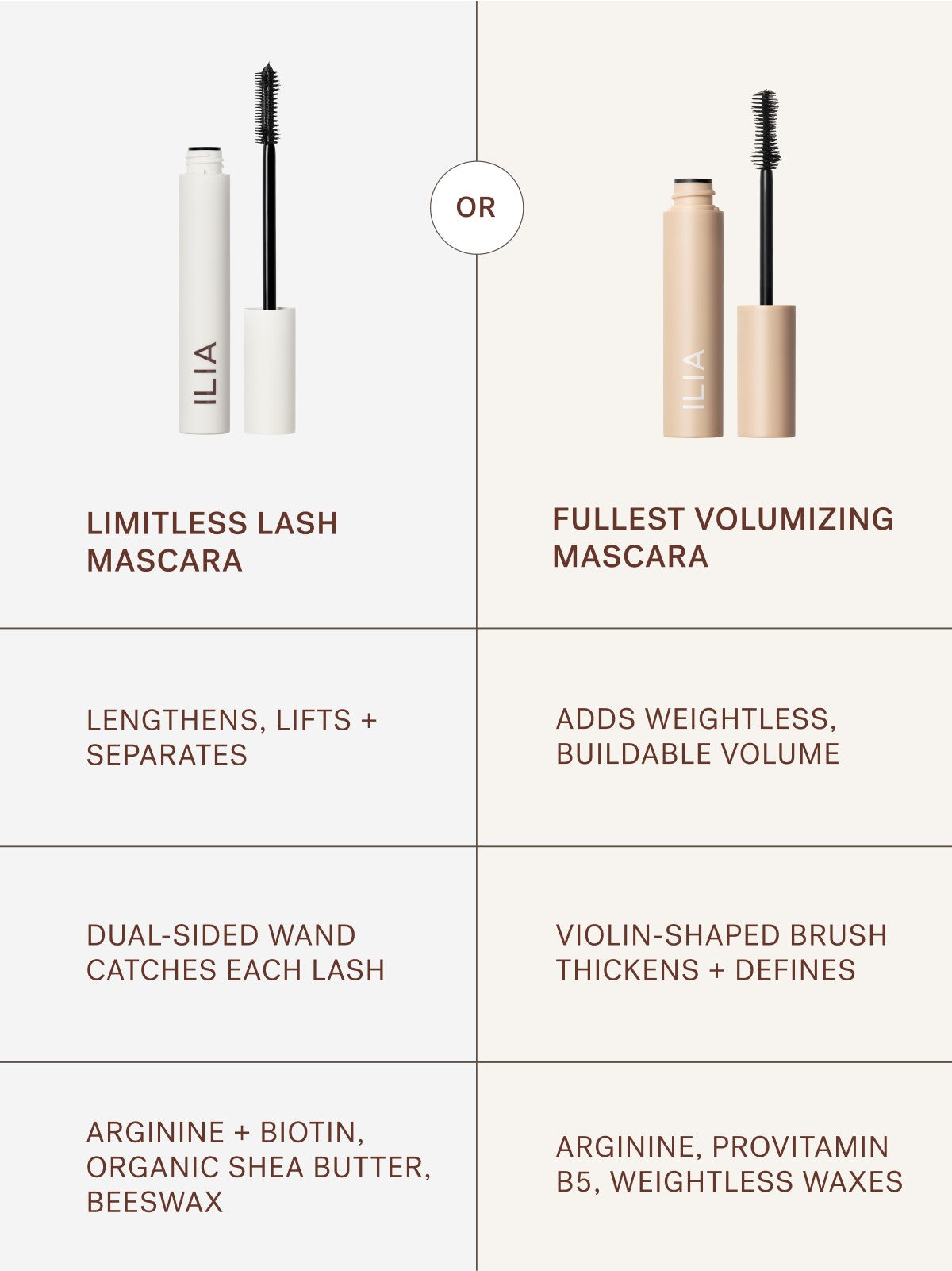 Mascara is a Moment Set - Everyday Beauty Essential