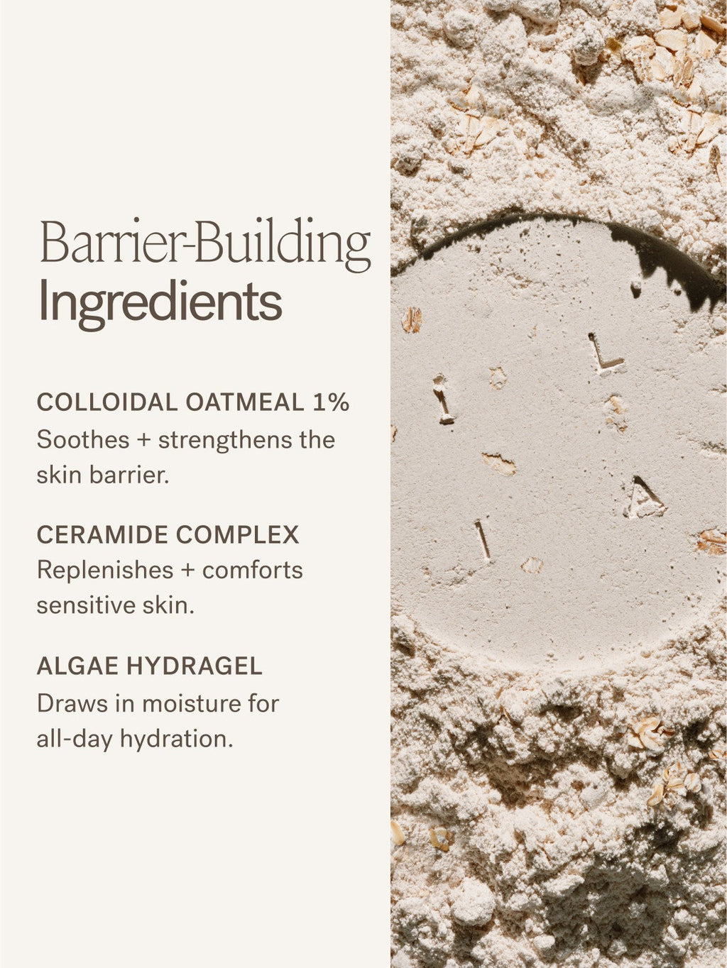 Barrier Build Skin Protectant Cream - Everyday Beauty Essential