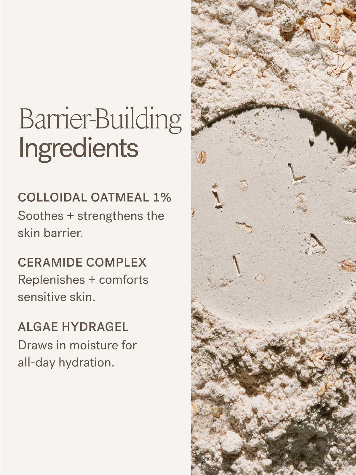Barrier Build Skin Protectant Cream - Everyday Beauty Essential