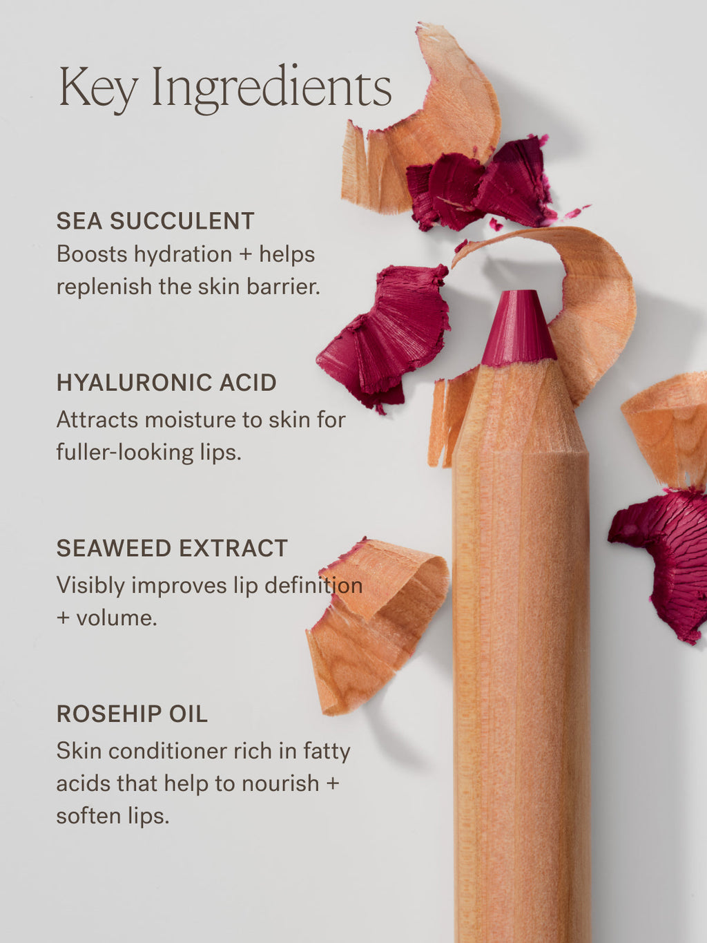 Lip Sketch Hydrating Crayon - Everyday Beauty Essential
