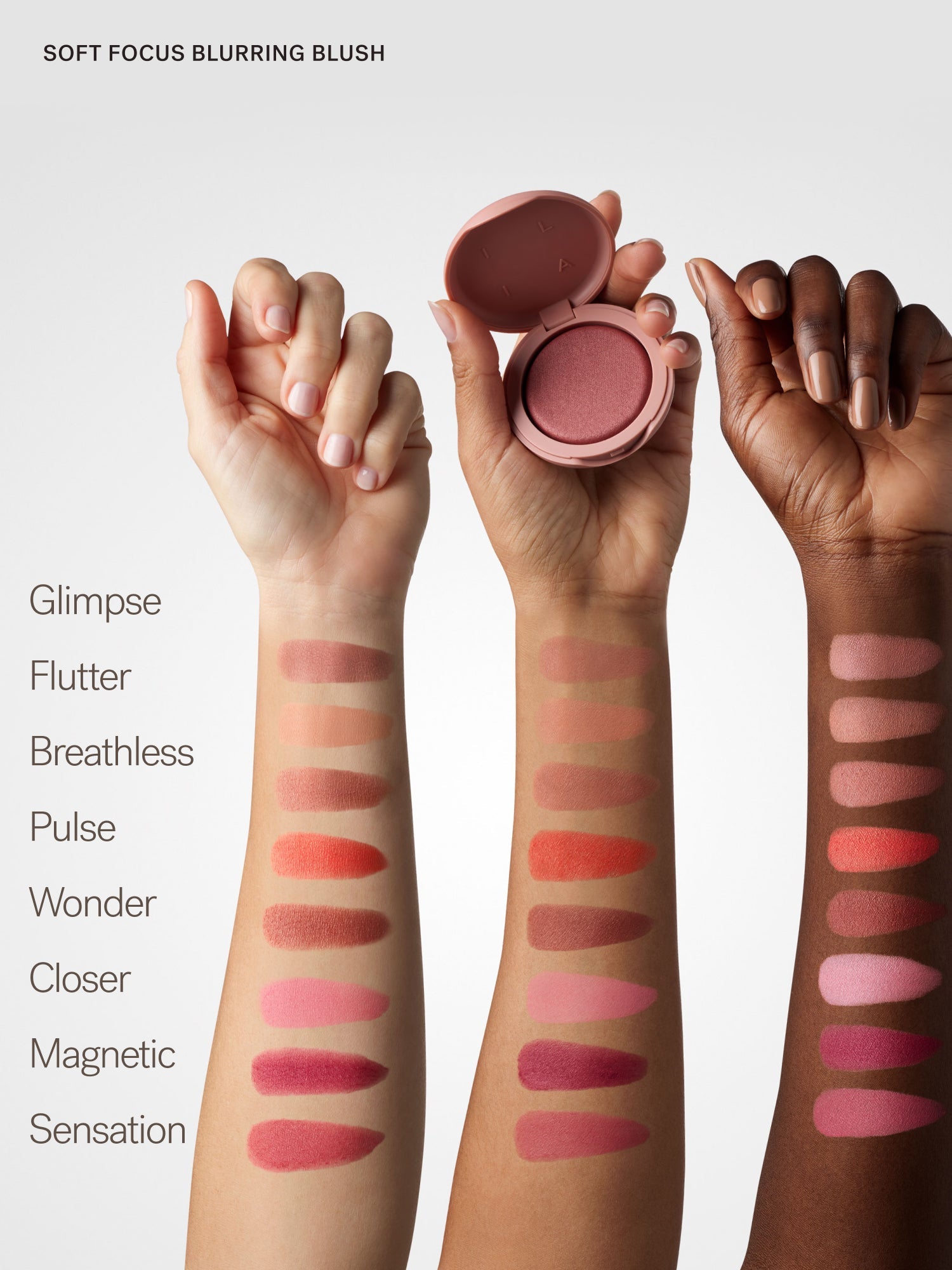 The Complexion + Color Set - Everyday Essential
