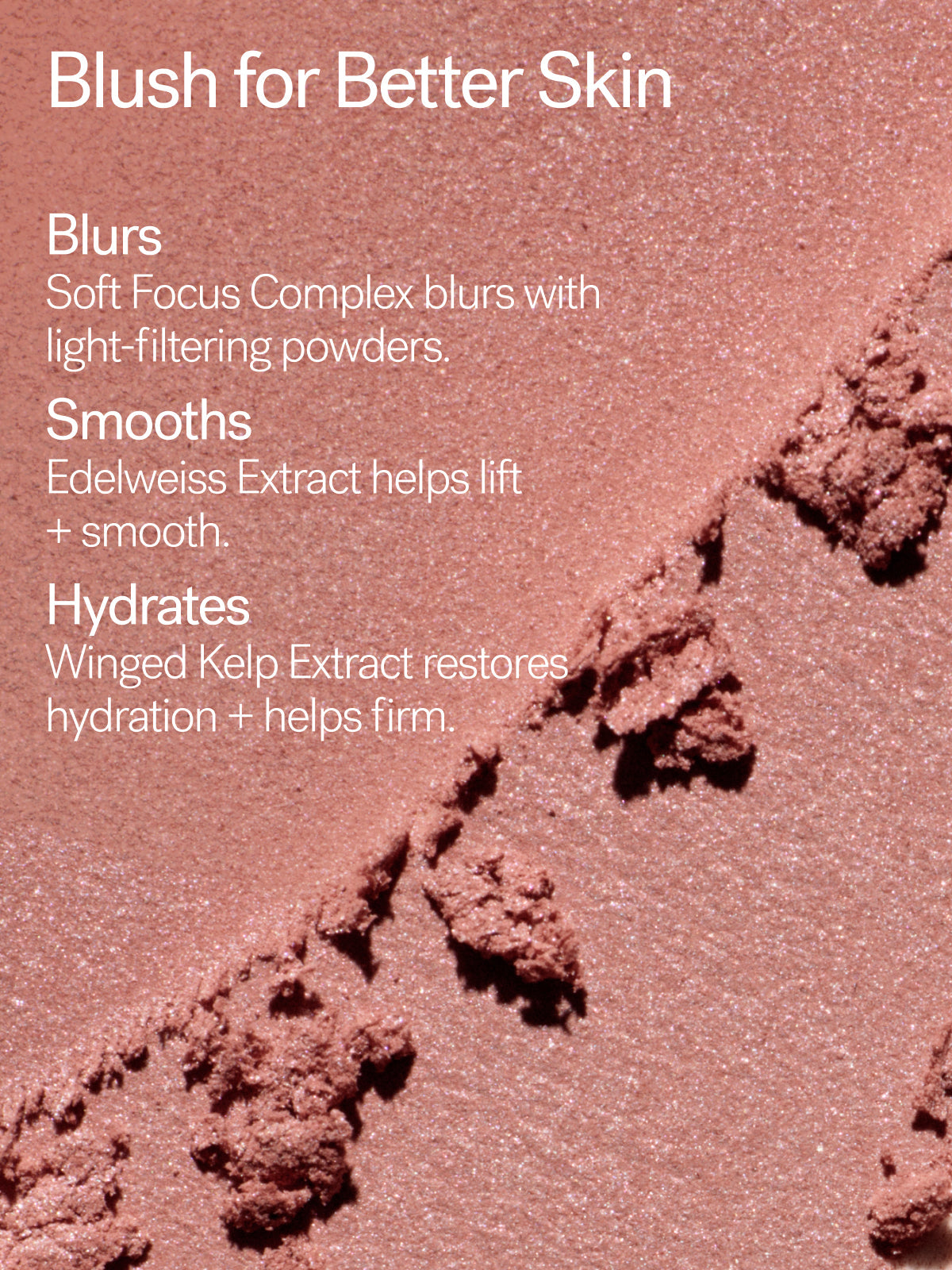 Soft Focus Blurring Blush - Everyday Beauty Essential