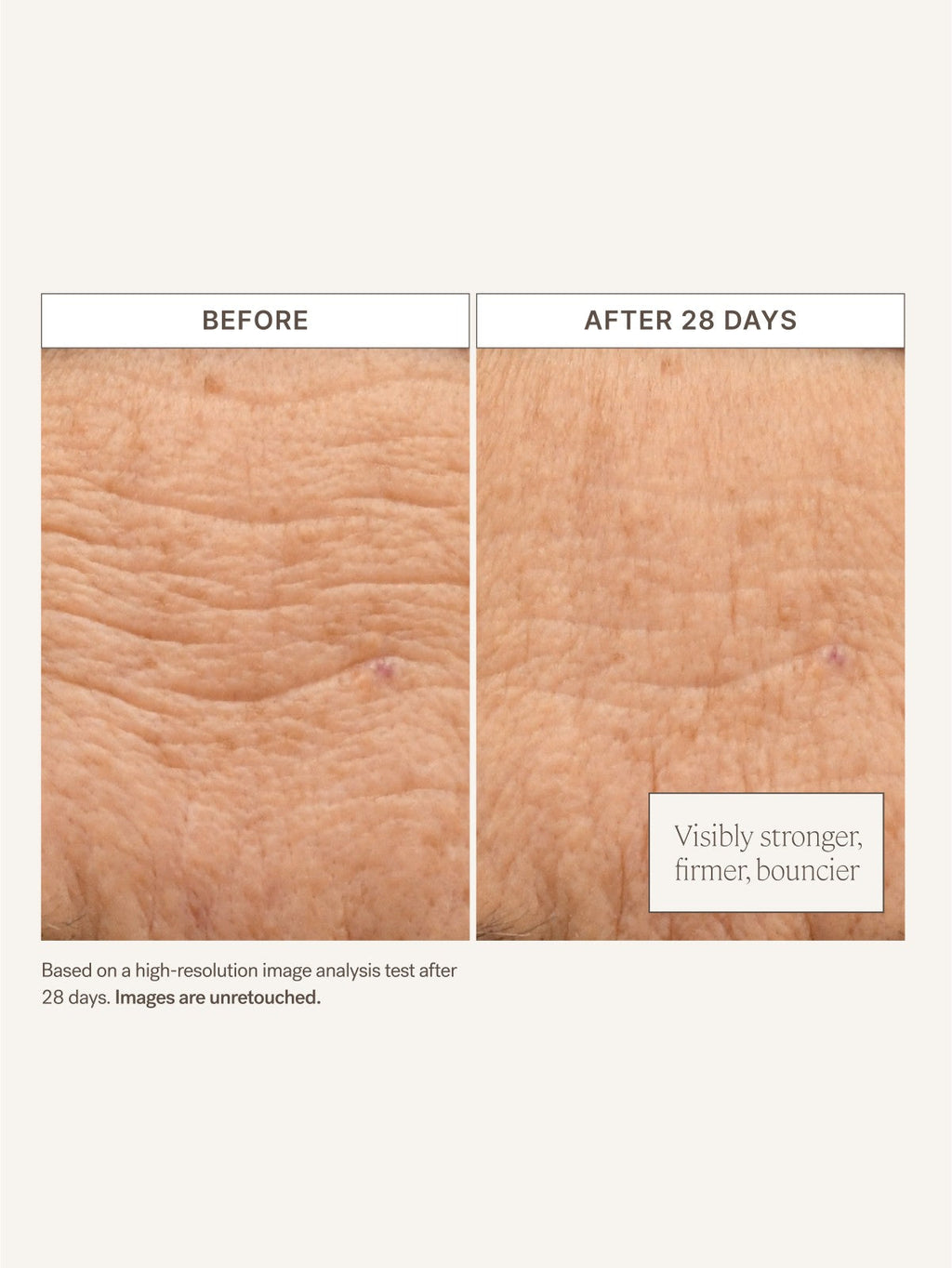Barrier Build Skin Protectant Cream - Everyday Beauty Essential