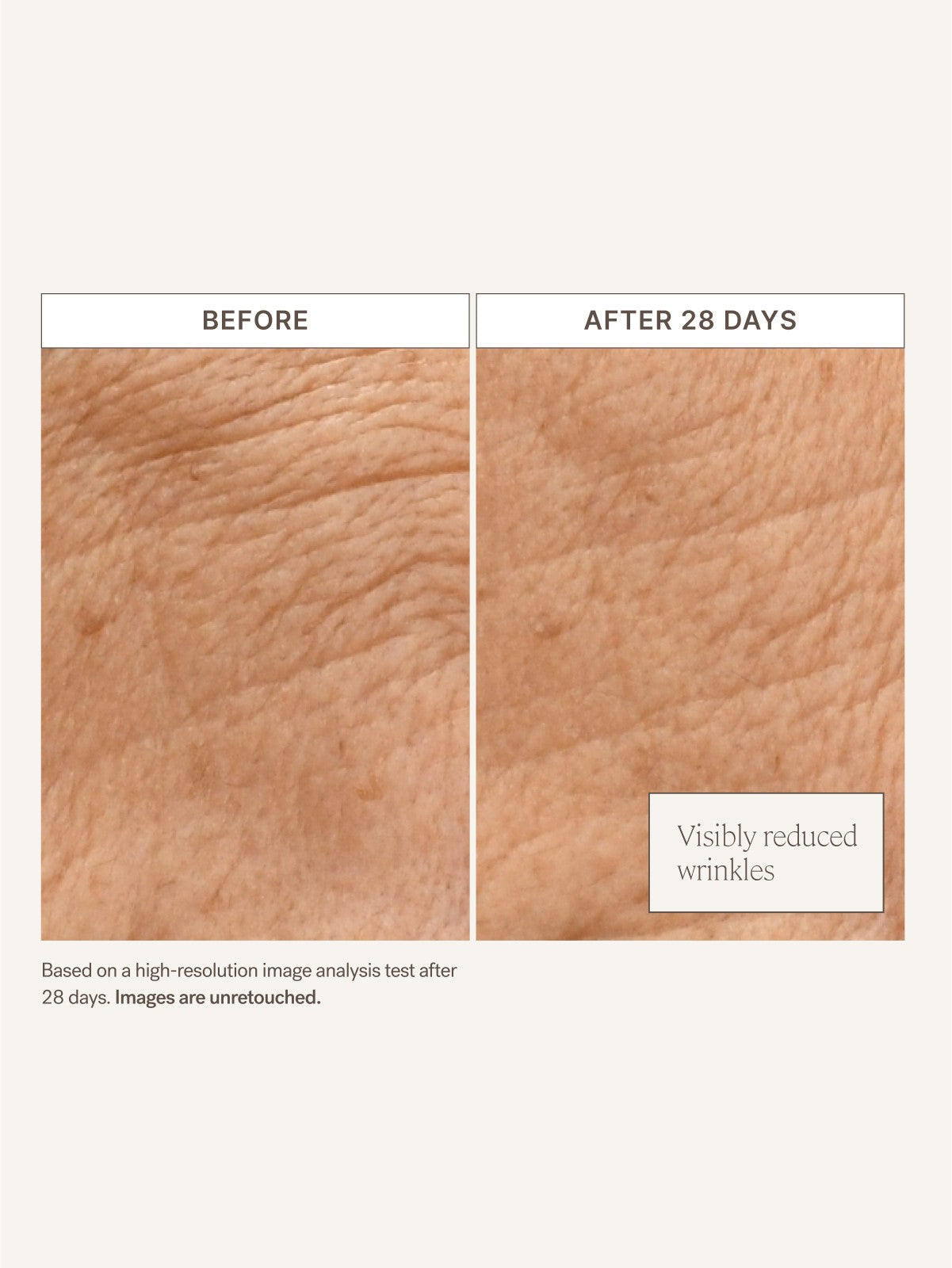 Barrier Build Skin Protectant Cream - Everyday Beauty Essential